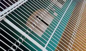 Imagem 5: Casa para alugar