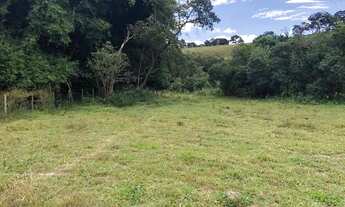 Imagem 6: Terreno com muita água