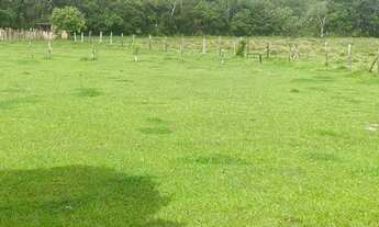 Imagem: VC TERRENO PARA SEU SÍTIO NO INTERIOR