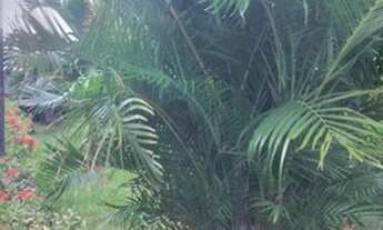 Imagem 3: Apartamento para venda possui 56 metros quadrados com 2 quartos