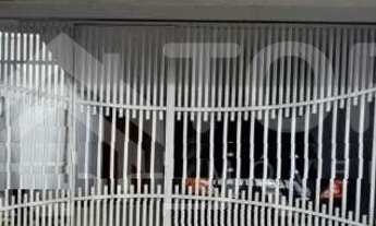 Imagem: Locação de Casas / Padrão na cidade de