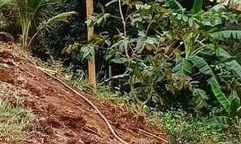 Imagem 4: Venda-se está chácara de 6 litros totalizando 8.267,50 mil M2 no Município de Muqui/ES