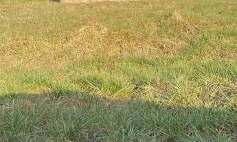 Imagem: LA terreno vila imperial