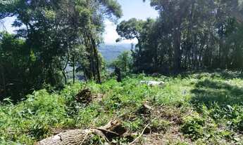 Imagem 7: Sítio / Chácara para Venda em Nova Petrópolis, Linha Imperial