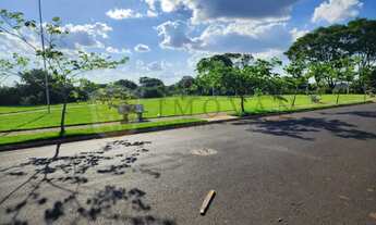 Imagem 2: Terreno Padrão em Ribeirão Preto