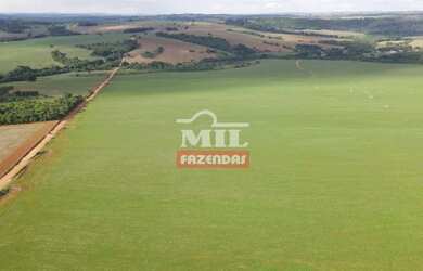 Imagem 7: Fazenda 62 alqueires (300,08 hectares ) Piracanjuba - GO