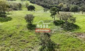 Imagem 2: Fazenda 60 Alqueires (290,4 Hectares) Goias velho - GO