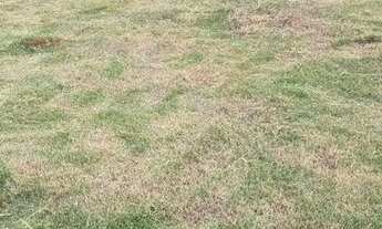 Imagem: Terreno à venda, 180 m² por R$ 150.000,00