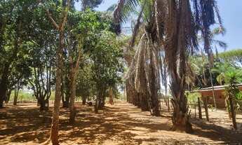 Imagem 7: Excelente Fazenda de 29 Hectares no Córrego do meio em Planaltina df
