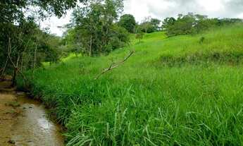 Imagem 2: Espetacular Fazenda 42.5 hect. Município Santo Antônio à 30 km Outlet Premium