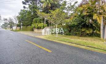 Imagem 3: TERRENO COM BARRACÃO NO BAIRRO SÃO LOUREÇO