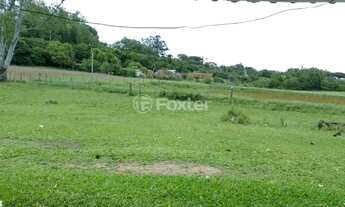 Imagem: Fazenda / Sítio / Chácara à venda Rua