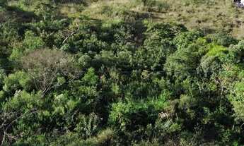 Imagem: LOTES VILLE DES LACS