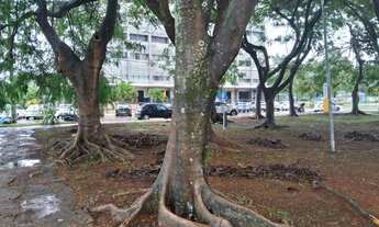 Imagem 3: Terreno Comercial de 250 m² no Cruzeiro Velho, Brasília - Venda R$ 1.160.000,00