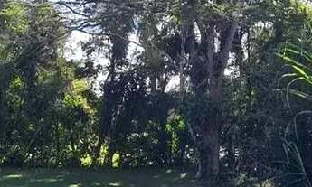 Imagem 5: Chácara à venda em Quadra-SP, bairro Aleluia: 3 quartos, 1 sala, 2 banheiro, 120,00m² de á