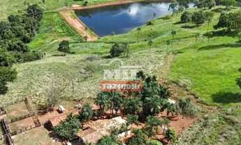 Imagem 6: Fazenda 60 Alqueires (290,4 Hectares) Goias velho - GO