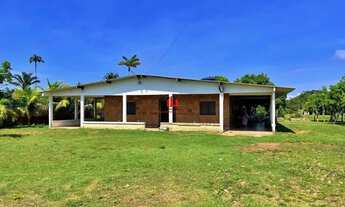 Imagem 4: Chácara com acesso ao Rio no Residencial Paraiso do Lago Iranduba 4.000m²