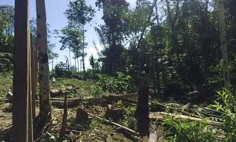 Imagem 3: Terreno para venda na estrada do Cetur