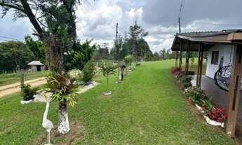 Imagem 4: CHÁCARA COLONIA MURICY