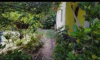 Imagem 5: Vendo sítio em monte gordo