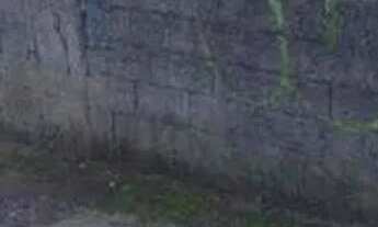 Imagem 2: Terreno com 650 m² localizado no Bairro Jardim em Santo André/SP