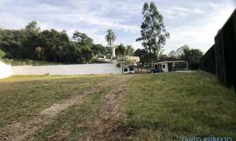 Imagem 7: GALPÃO - JARDIM REGINA ALICE - SP