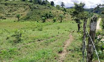 Imagem 6: Vendo excelente fazendinha em Nazaré das farinha