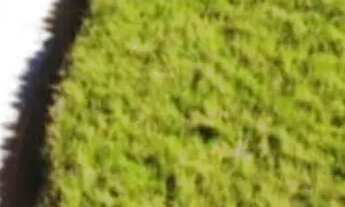 Imagem 7: Terrenos na cidade de Ibiúna - SP para moradia ou chalé