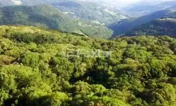 Imagem 5: Fazenda / Sítio / Chácara à venda Rua B, Eletra - São Francisco de Paula