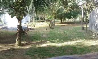 Imagem 4: Sítio em Presidente Figueiredo