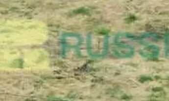 Imagem 2: Terreno à venda, Condomínio Residencial Ecopark Bourbon, Caçapava, SP