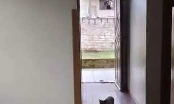 Imagem 3: Casa a venda na Cidade Ocidental (parcelado