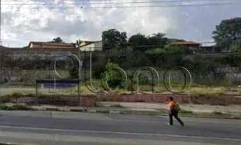 Imagem 4: Terreno à venda e para alugar em Campinas, Jardim Novo Campos Elíseos, com 3823 m²