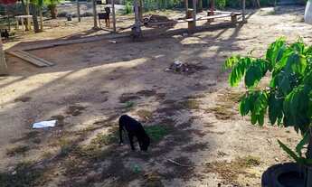 Imagem 5: Vende se ou troca por caminhão, casa, carro ou lote rural