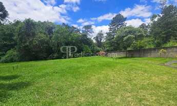 Imagem 4: Chácara à venda, atrás alphaville graciosa, na estrada ecológica de PINHAIS - PR