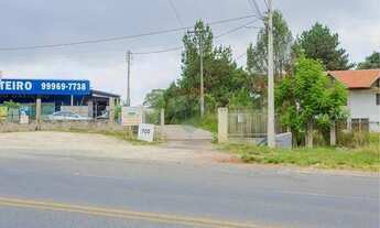 Imagem 3: TERRENO URBANO 2248M SÃO DIMAS - COLOMBO