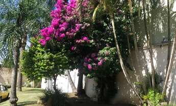 Imagem 5: Casa 2 quartos com área total de 1.200m² - Canoas