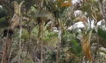 Imagem 7: CASA TÉRREA - GRANJA VIANA - SP