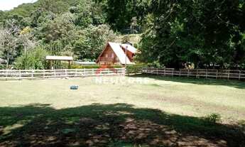 Imagem 7: Sítio em Estrada das Cerejeiras - Barreiro - Santo Antônio do Pinhal/SP