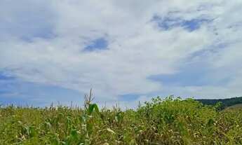 Imagem 2: Ibiúna SP: Terrenos de 1000m² com Muito Verde e Tranquilidade