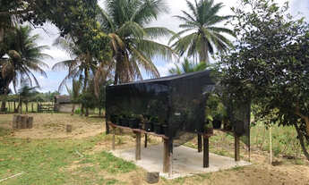 Imagem 7: Sítio na Praia! Caravelas/Bahia