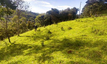Imagem 2: Fazenda 8 ha, próximo ao café da Estrada, Entre Mateus Leme e Itaúna, com agua