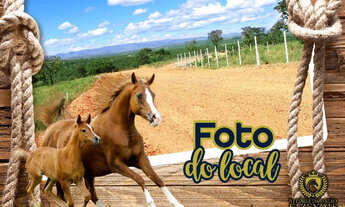 Imagem 3: Fazendinha na região de São Jose de Almeida a partir de 20.000,00 m²