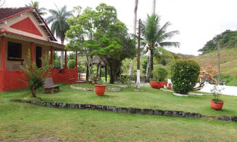 Imagem 3: Fazenda com 31hc no Cabo a 500m da BR-101