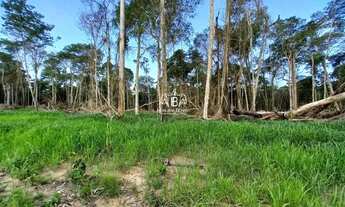 Imagem 7: Porto Velho - Sítio - BR364