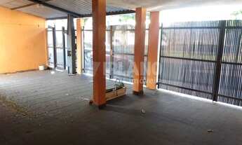 Imagem 3: Locação de Casas / Padrão na cidade de São Carlos