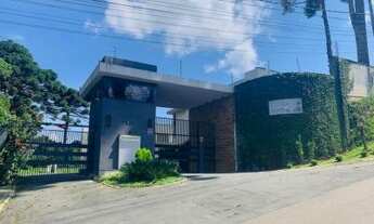 Imagem: Curitiba - Loja/Salão - Taboão