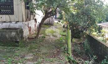 Imagem 6: NOVO HAMBURGO - Terreno Padrão - Primavera