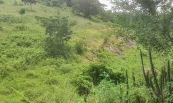 Imagem 15: FAZENDA REGIAO SERRANA CANTAGALO FORMADA E PERTO DA CIDADE