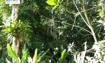 Imagem 5: Chácara à venda no bairro Barreiros - Morretes/PR